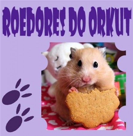 ROEDORES DO ORKUT!